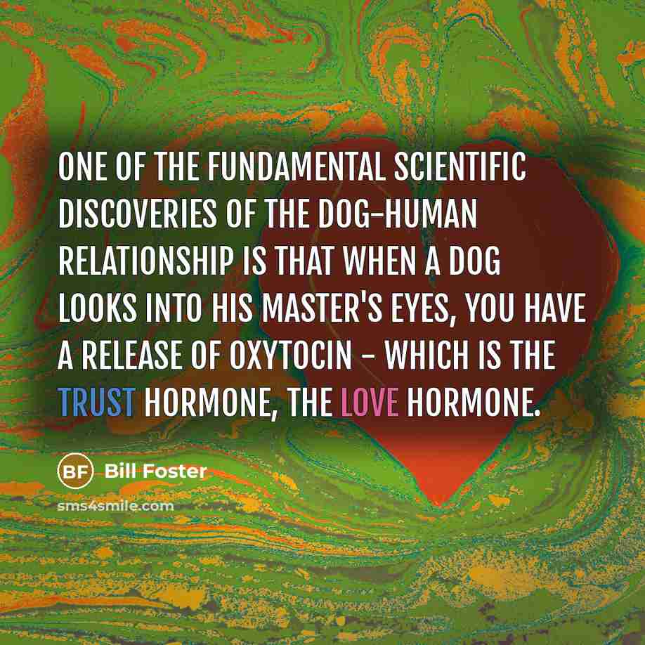 “One of the fundamental scientific discoveries of the dog-human relationship…” quote by Bill Foster