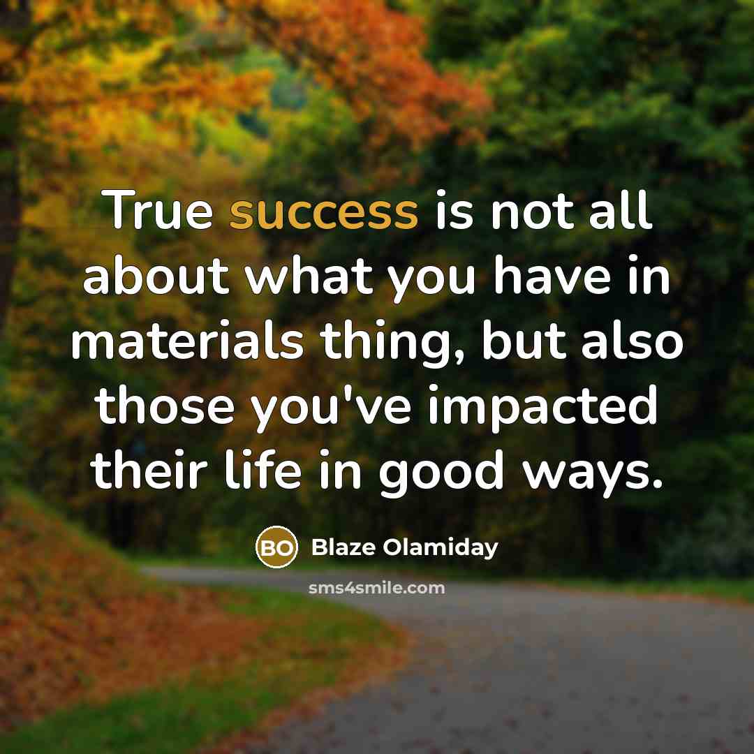 “True success is not all about what you have in…” quote by Blaze Olamiday