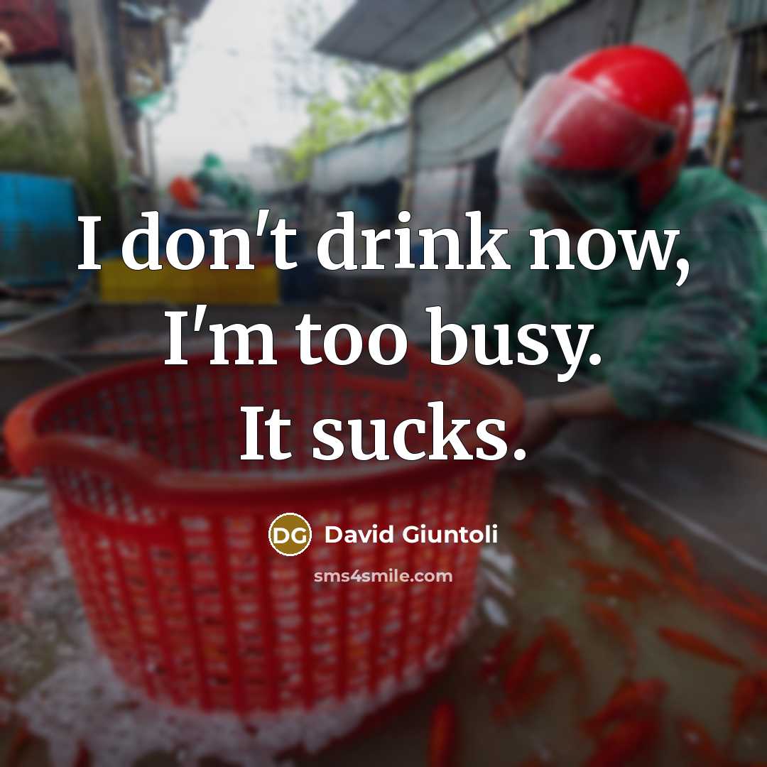 “I don't drink now, I'm too busy. It sucks.…” quote by David Giuntoli