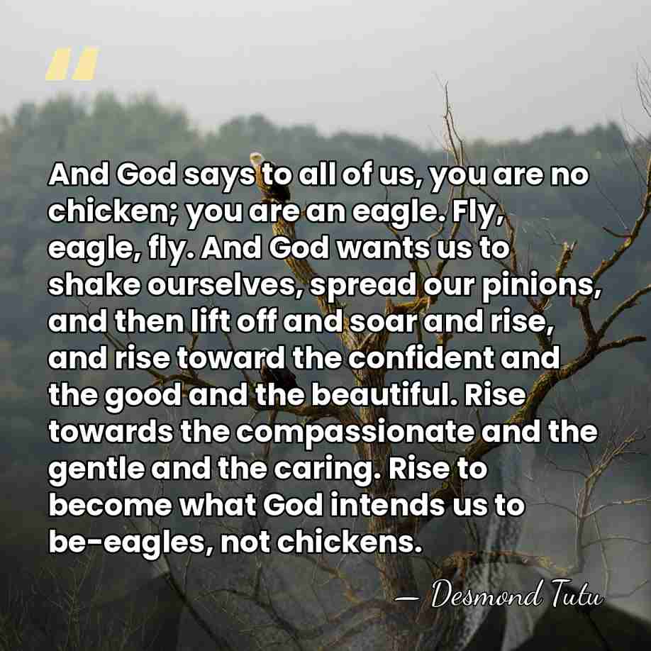 And God says to all of us, you are no chicken; you&hellip; - Desmond Tutu