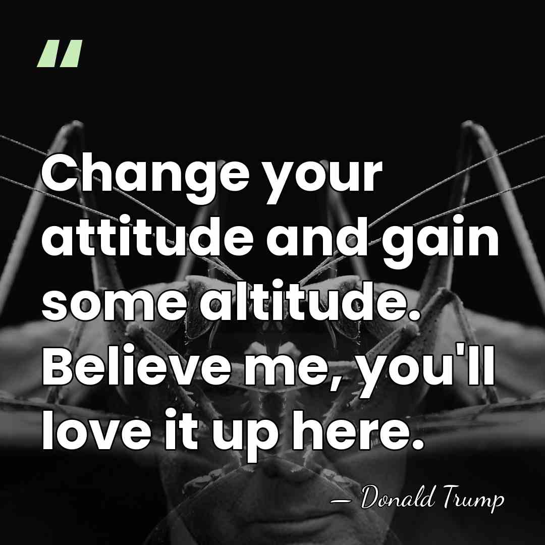 Change your attitude and gain some altitude. Believe me, you'll love it&hellip; - Donald Trump