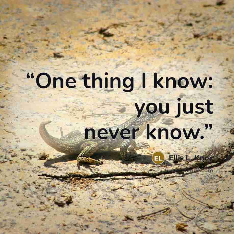 “One thing I know: you just never know.” quote by Ellis L. Knox