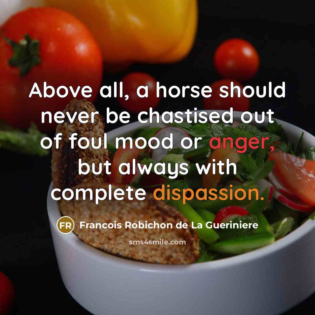 “Above all, a horse should never be chastised out of foul mood or anger, but always with complete dispassion.” quote by Francois Robichon de La Gueriniere