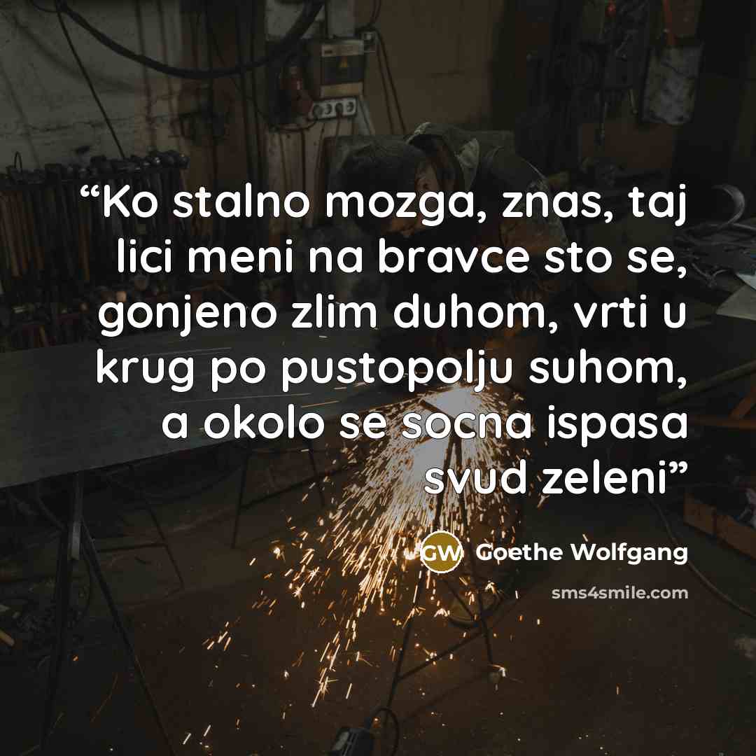 “Ko stalno mozga, znas, taj lici meni na bravce sto se, gonjeno zlim duhom, vrti u krug po pustopolju suhom, a okolo se socna ispasa svud zeleni” quote by Goethe Wolfgang