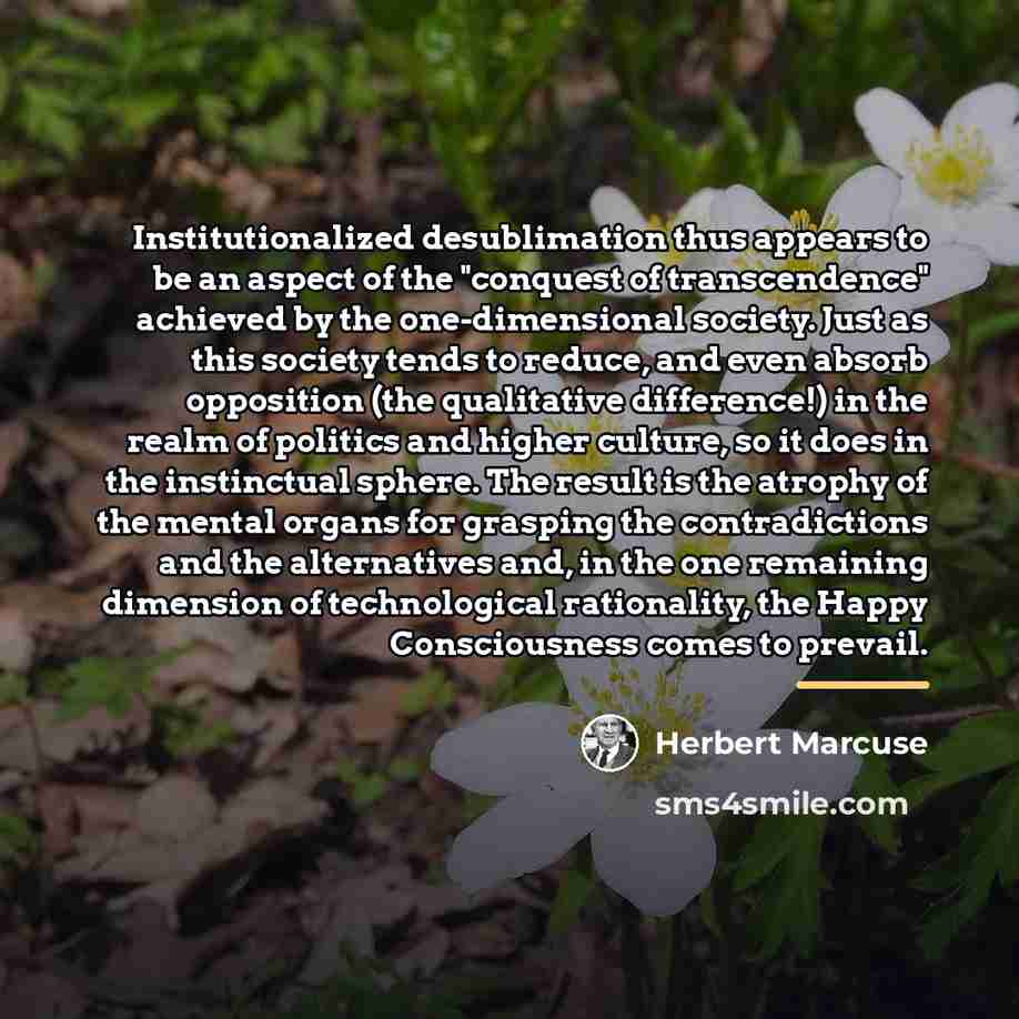 “Institutionalized desublimation thus appears to be an aspect of the…” quote by Herbert Marcuse