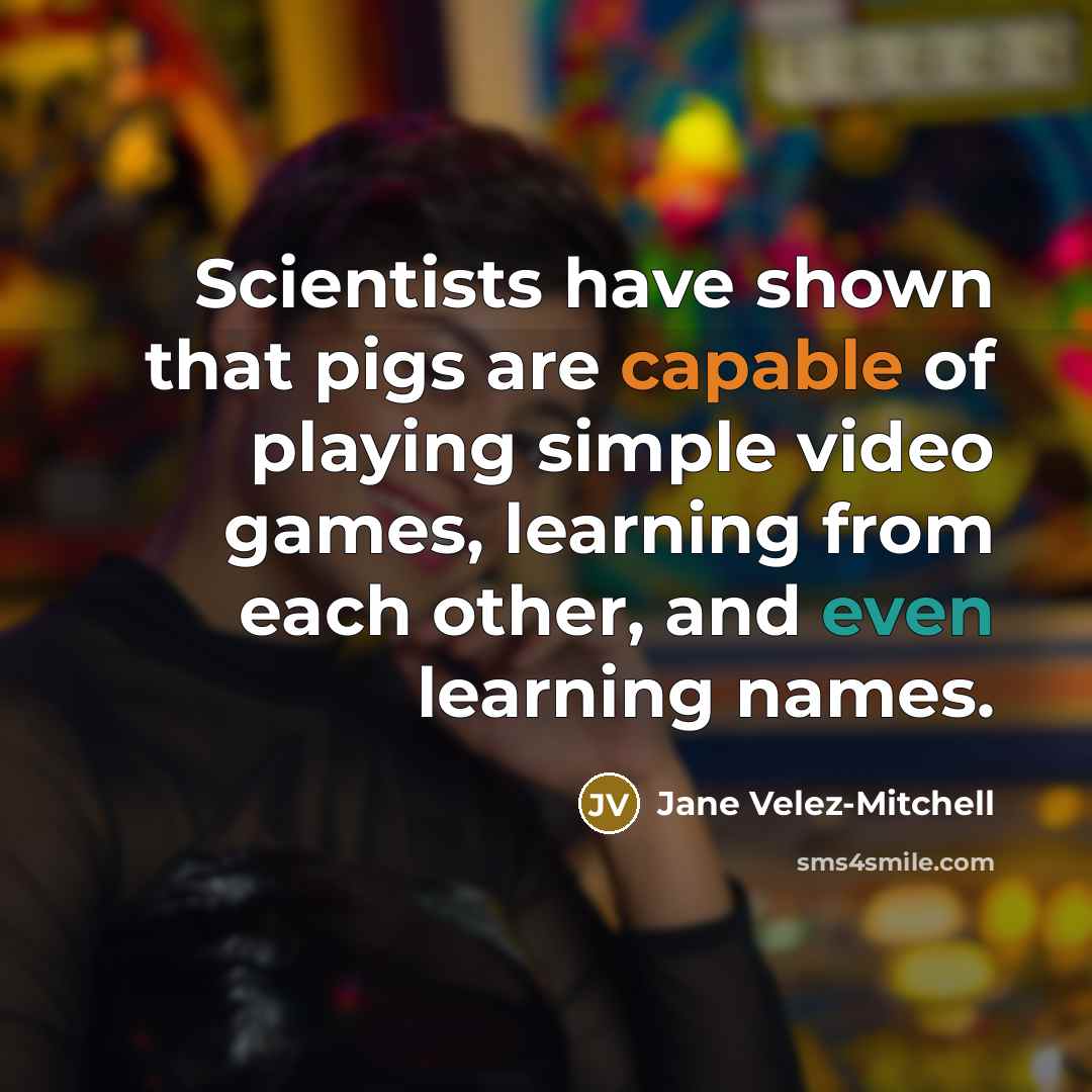 “Scientists have shown that pigs are capable of playing simple video games, learning from each other, and even learning names.” quote by Jane Velez-Mitchell