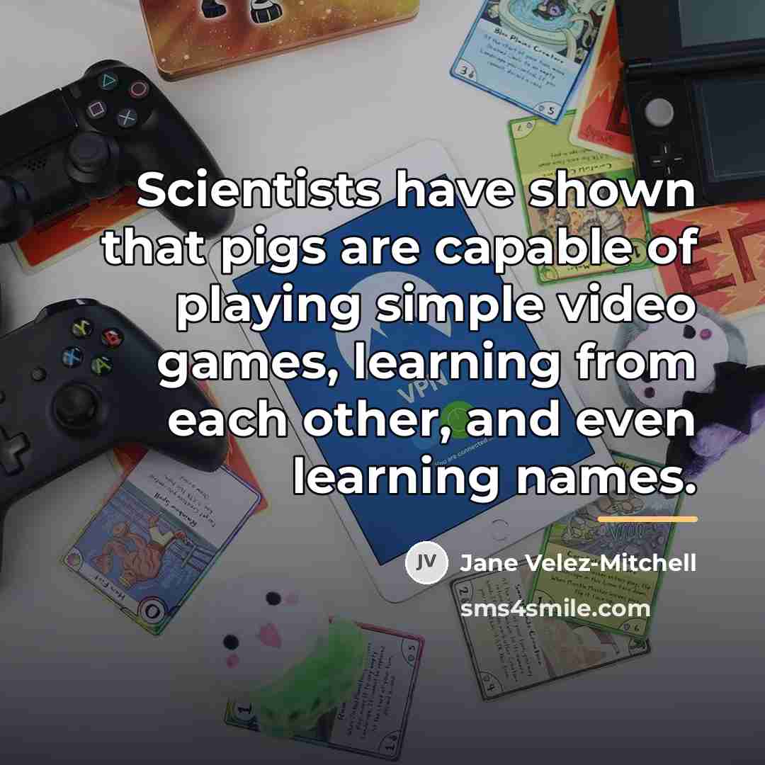 “Scientists have shown that pigs are capable of playing simple…” quote by Jane Velez-Mitchell