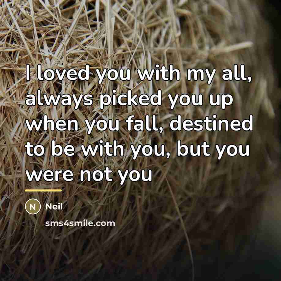 “I loved you with my all, always picked you up…” quote by Neil