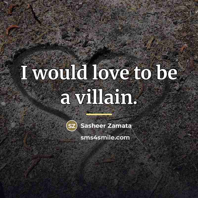 “I would love to be a villain.…” quote by Sasheer Zamata