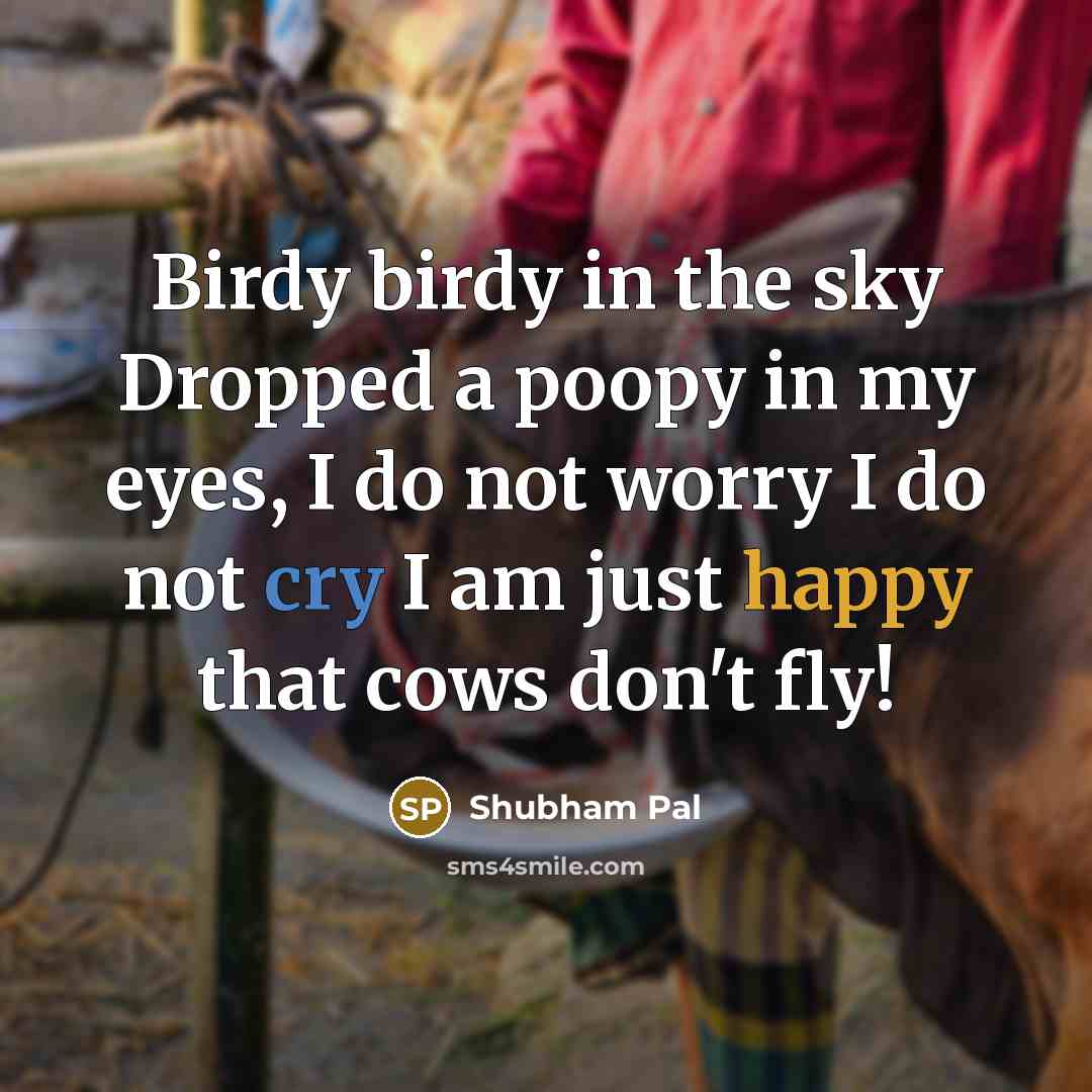 “Birdy birdy in the sky Dropped a poopy in my…” quote by Shubham Pal