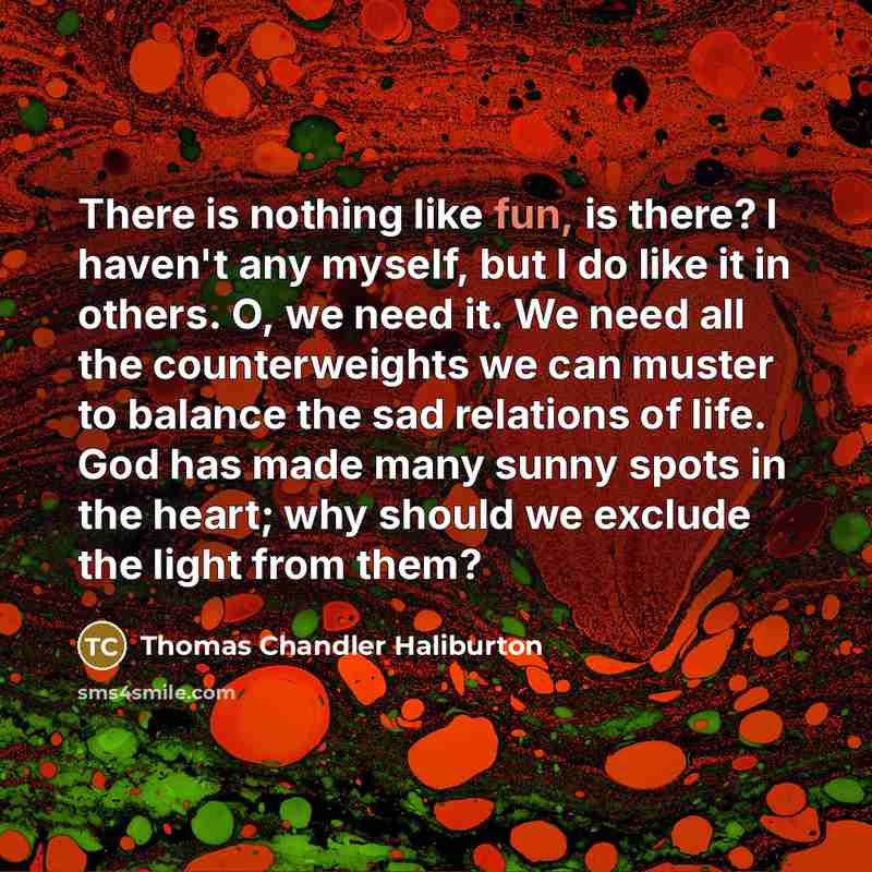 “There is nothing like fun, is there? I haven't any…” quote by Thomas Chandler Haliburton