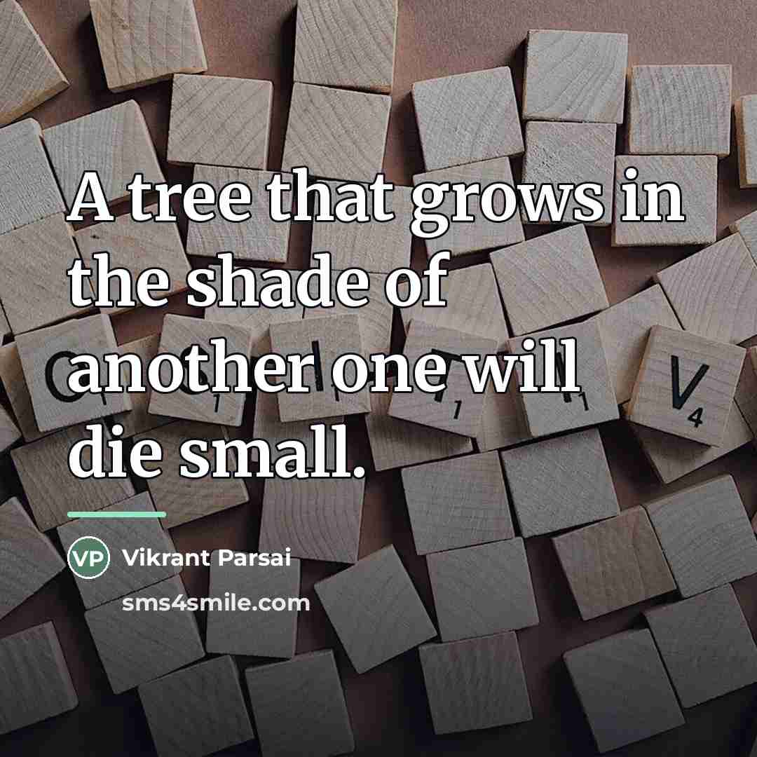 “A tree that grows in the shade of another one…” quote by Vikrant Parsai