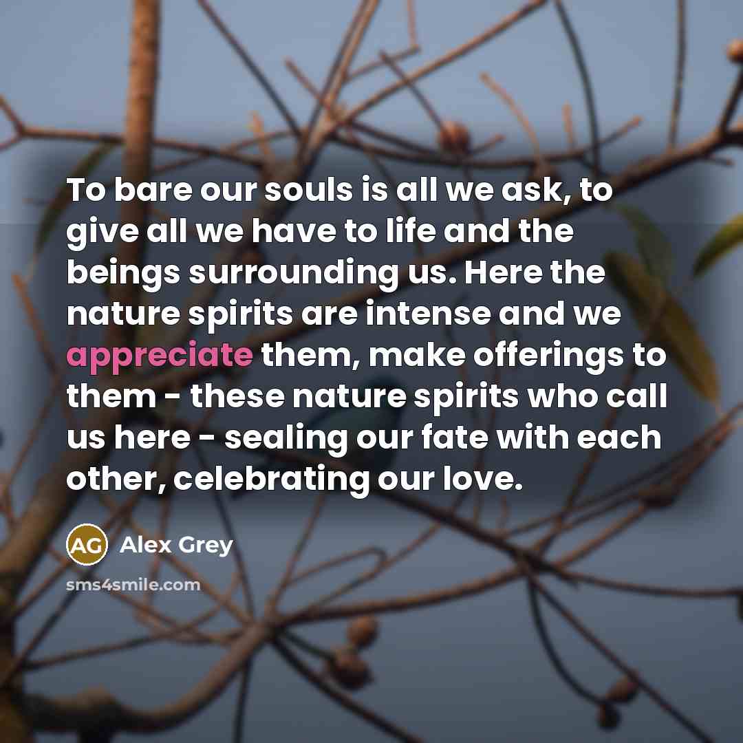 “To bare our souls is all we ask, to give…” quote by Alex Grey