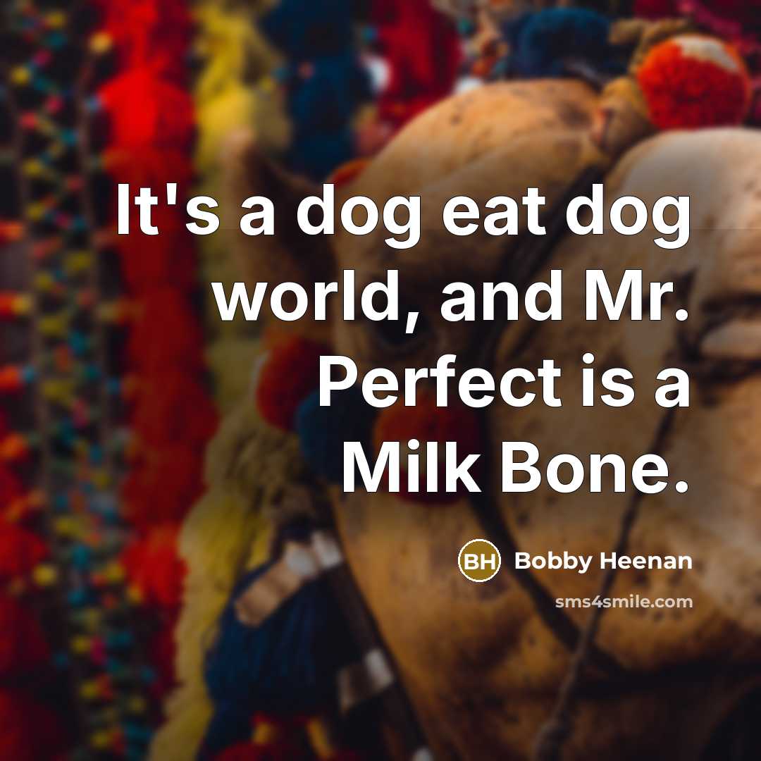 “It's a dog eat dog world, and Mr. Perfect is a Milk Bone.” quote by Bobby Heenan