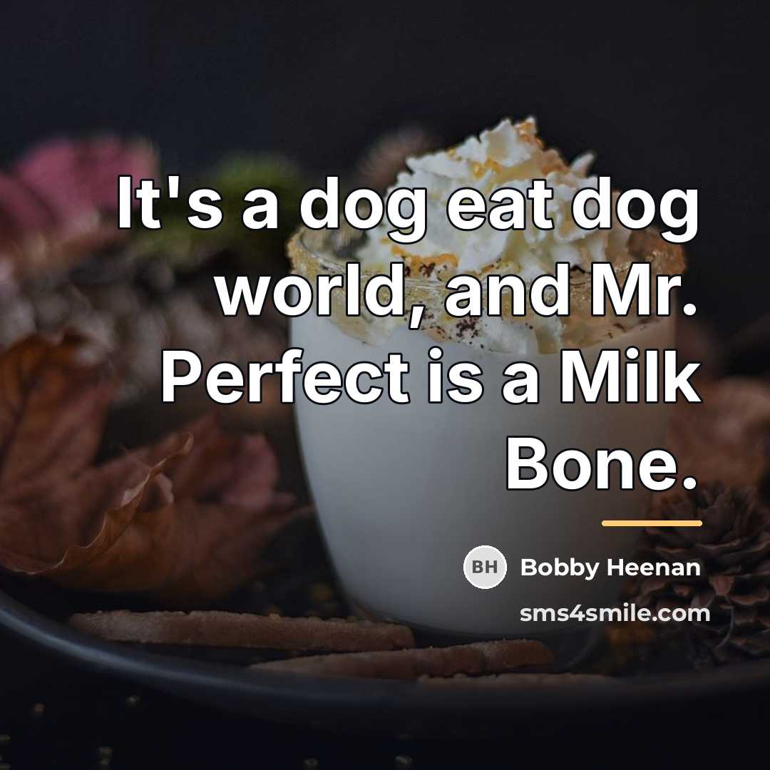 “It's a dog eat dog world, and Mr. Perfect is…” quote by Bobby Heenan