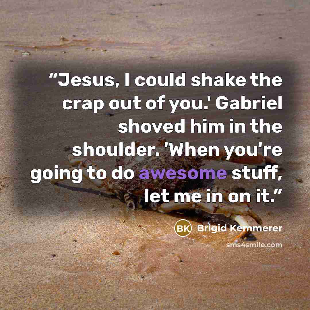 “Jesus, I could shake the crap out of you.' Gabriel shoved him in the shoulder. 'When you're going to do awesome stuff, let me in on it.” quote by Brigid Kemmerer