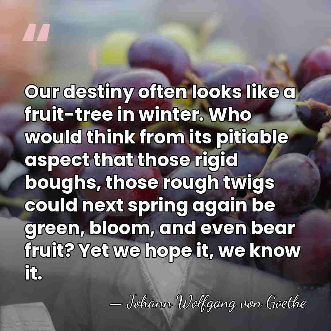 Our destiny often looks like a fruit-tree in winter. Who would think&hellip; - Johann Wolfgang von Goethe