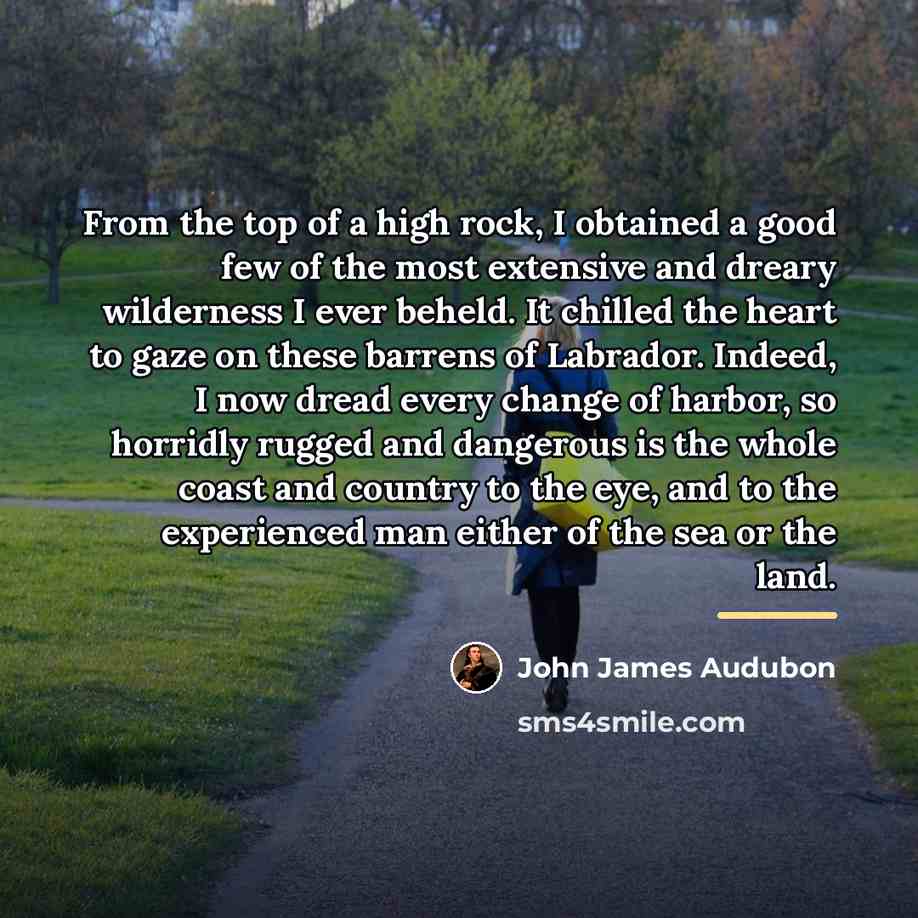 “From the top of a high rock, I obtained a…” quote by John James Audubon