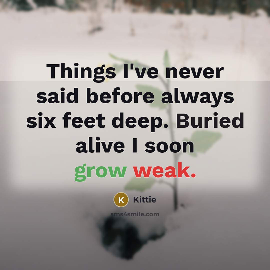“Things I've never said before always six feet deep. Buried…” quote by Kittie