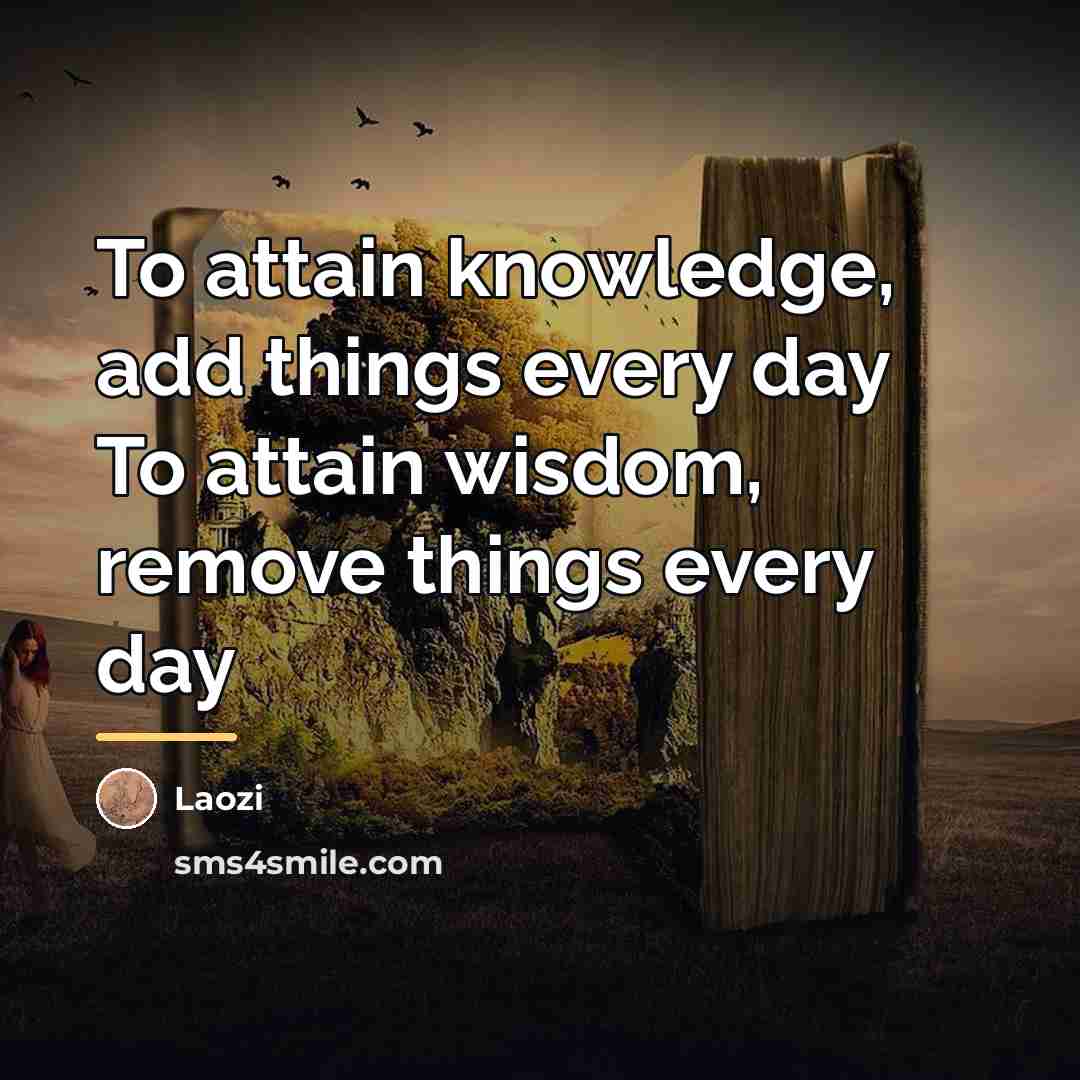 “To attain knowledge, add things every day To attain wisdom,…” quote by Laozi