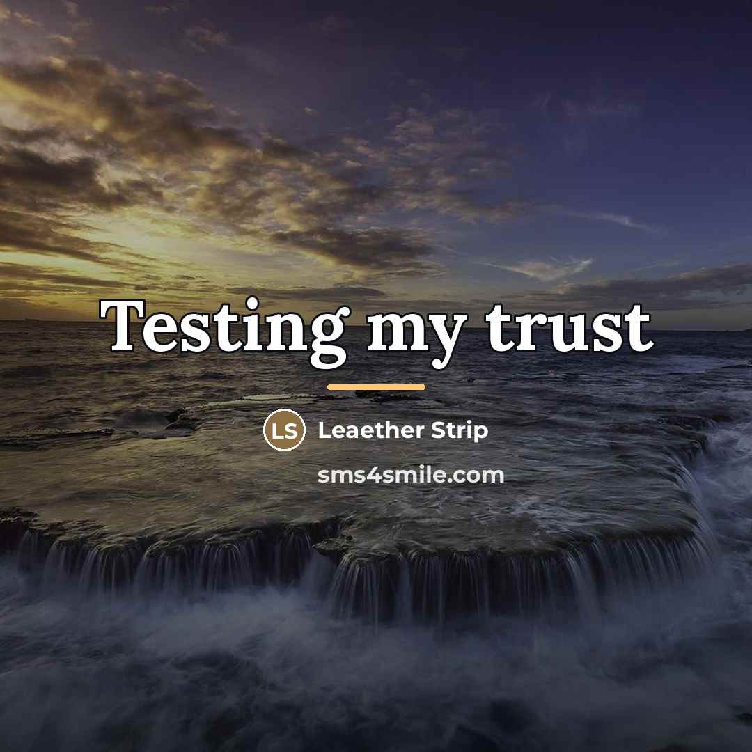 “Testing my trust…” quote by Leaether Strip