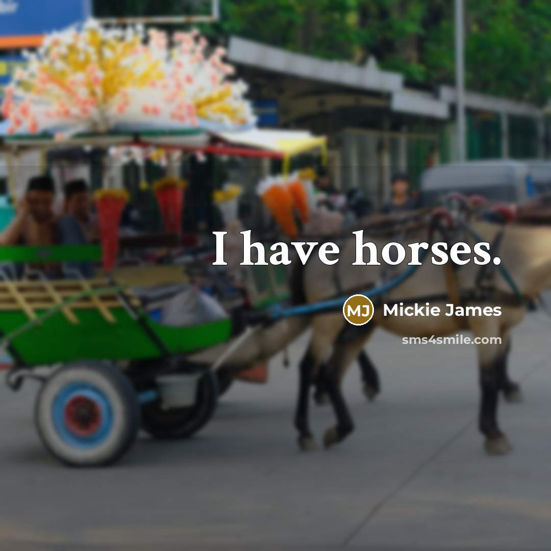 “I have horses.…” quote by Mickie James