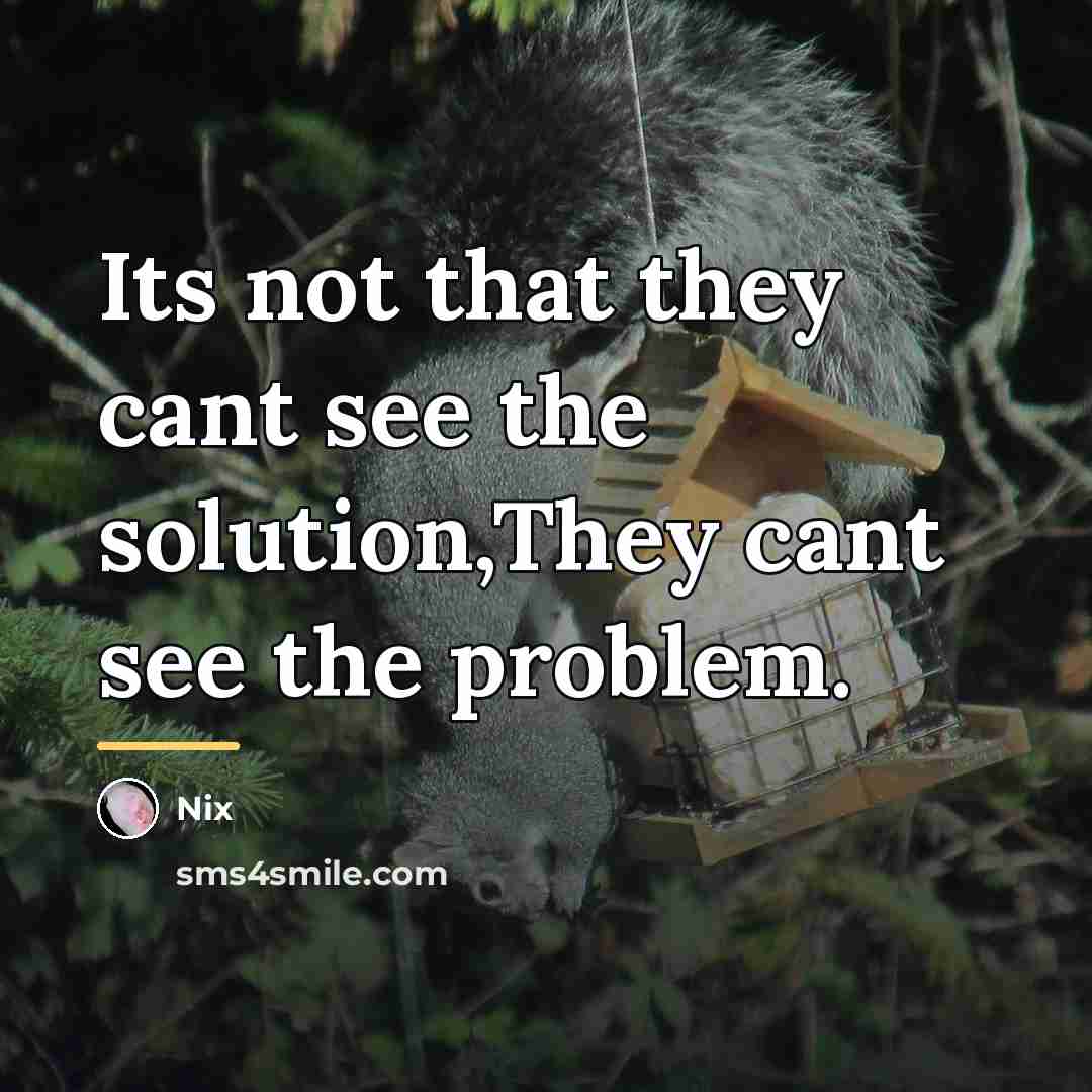 “Its not that they cant see the solution,They cant see…” quote by Nix
