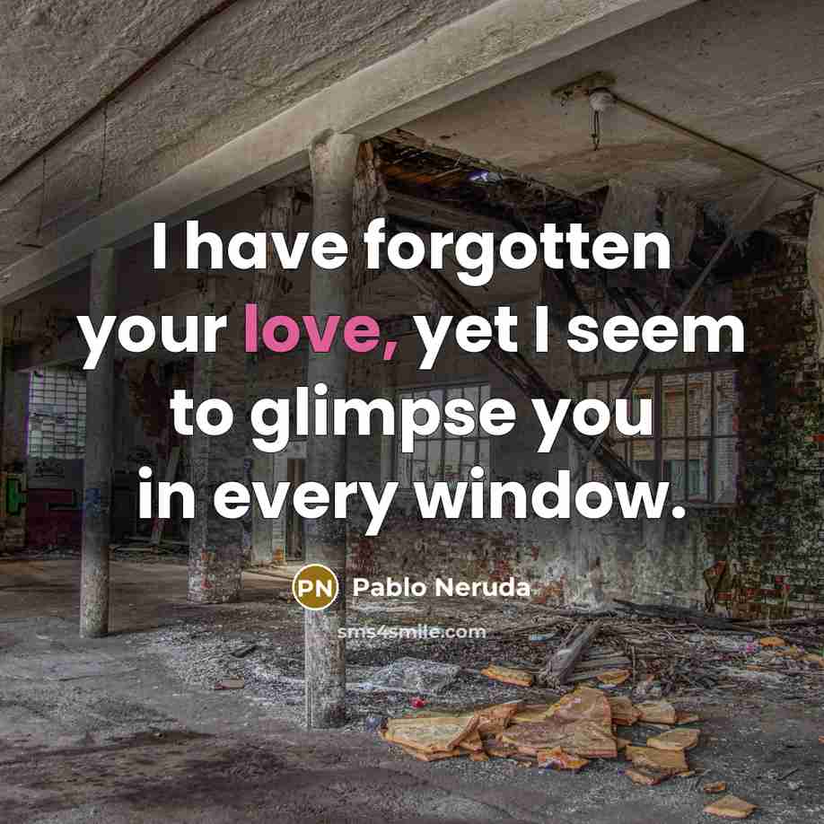 “I have forgotten your love, yet I seem to glimpse…” quote by Pablo Neruda