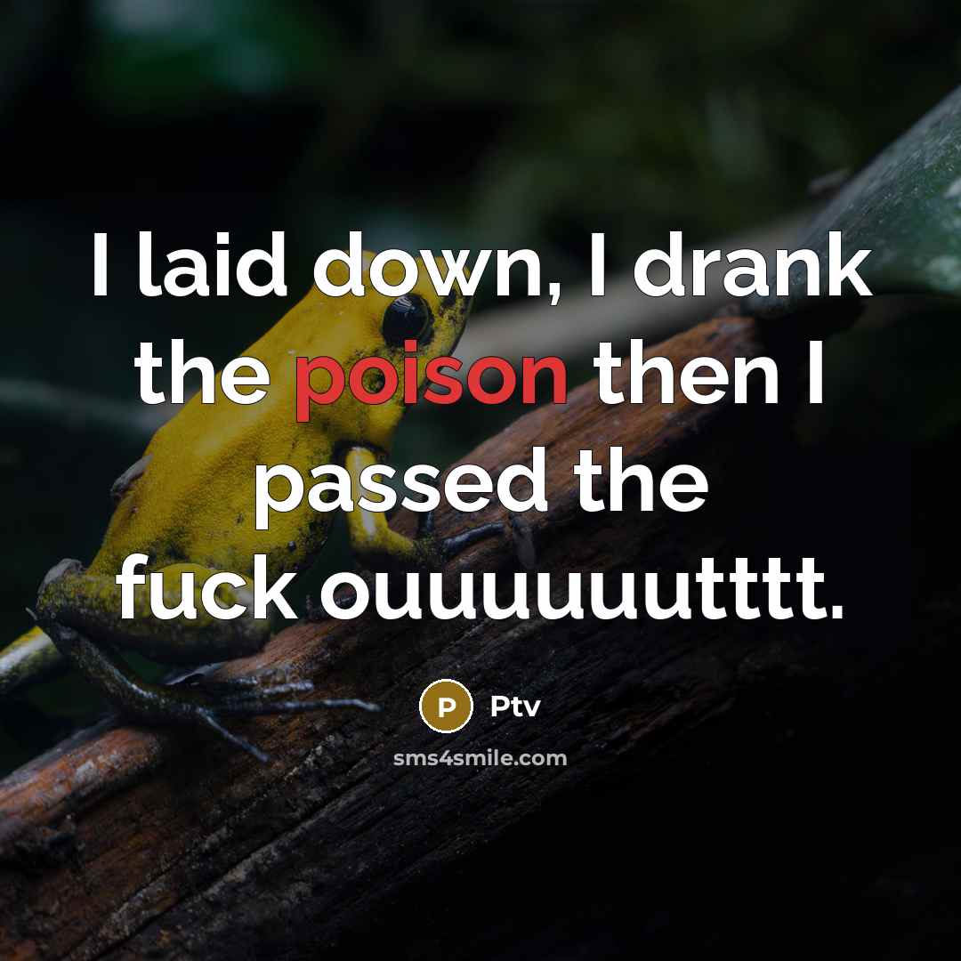 “I laid down, I drank the poison then I passed the fuck ouuuuuutttt.” quote by Ptv