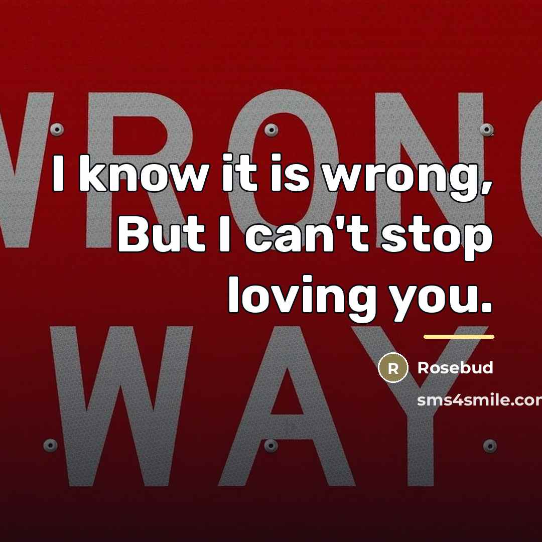 “I know it is wrong, But I can't stop loving…” quote by Rosebud