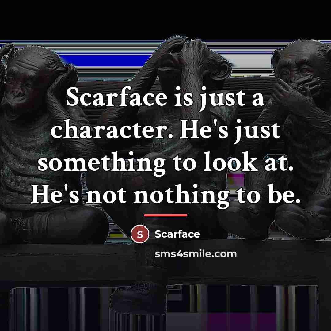 “Scarface is just a character. He's just something to look…” quote by Scarface