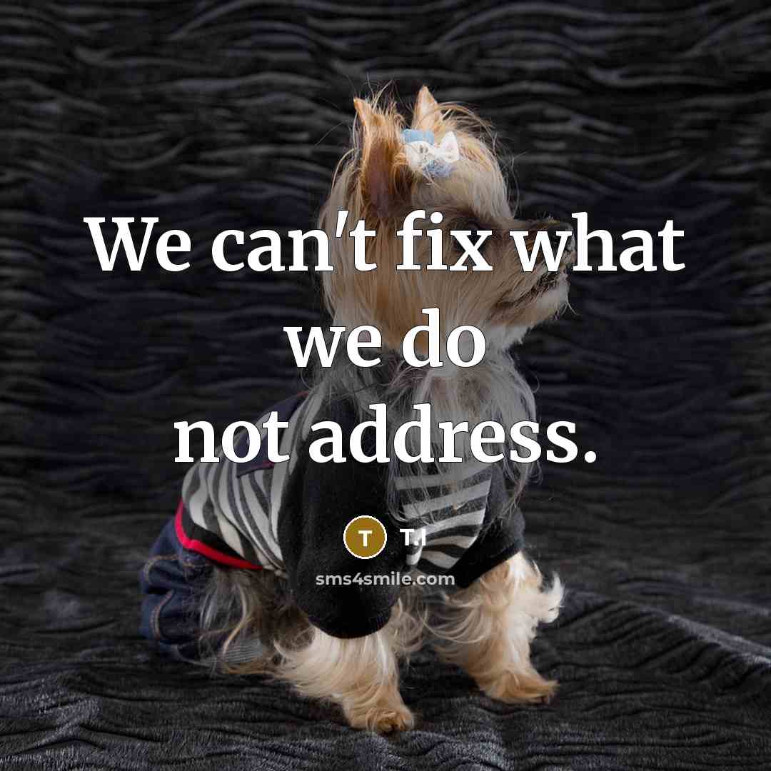 “We can't fix what we do not address.” quote by T.I