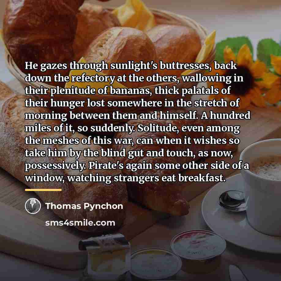 “He gazes through sunlight's buttresses, back down the refectory at…” quote by Thomas Pynchon