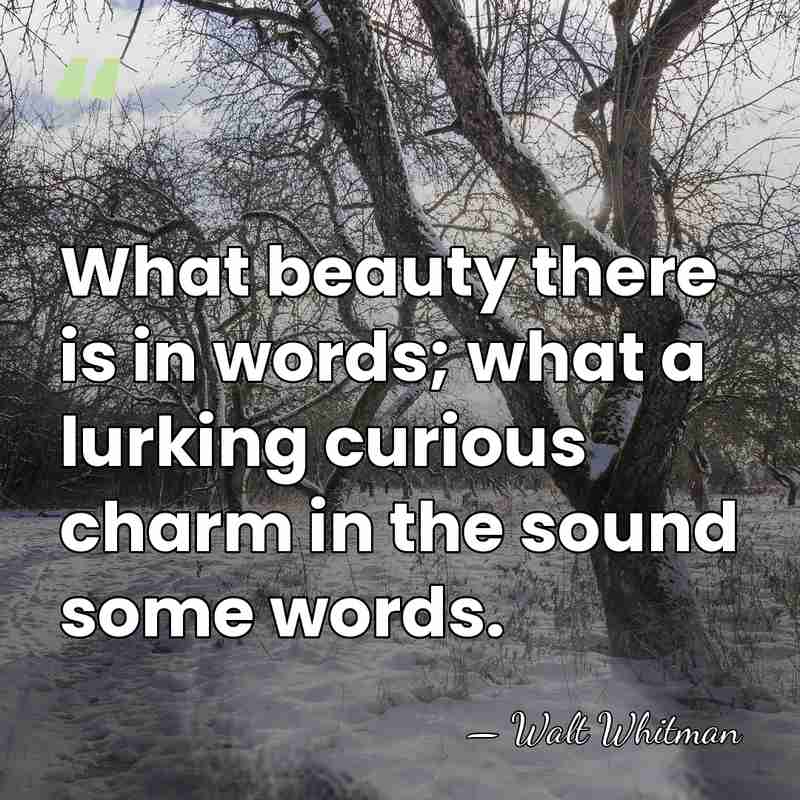 What beauty there is in words; what a lurking curious charm in&hellip; - Walt Whitman