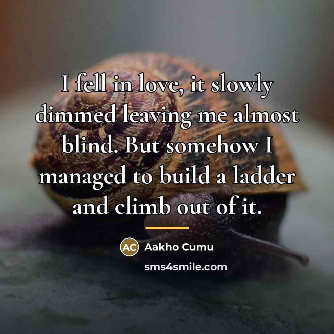 “I fell in love, it slowly dimmed leaving me almost…” quote by Aakho Cumu