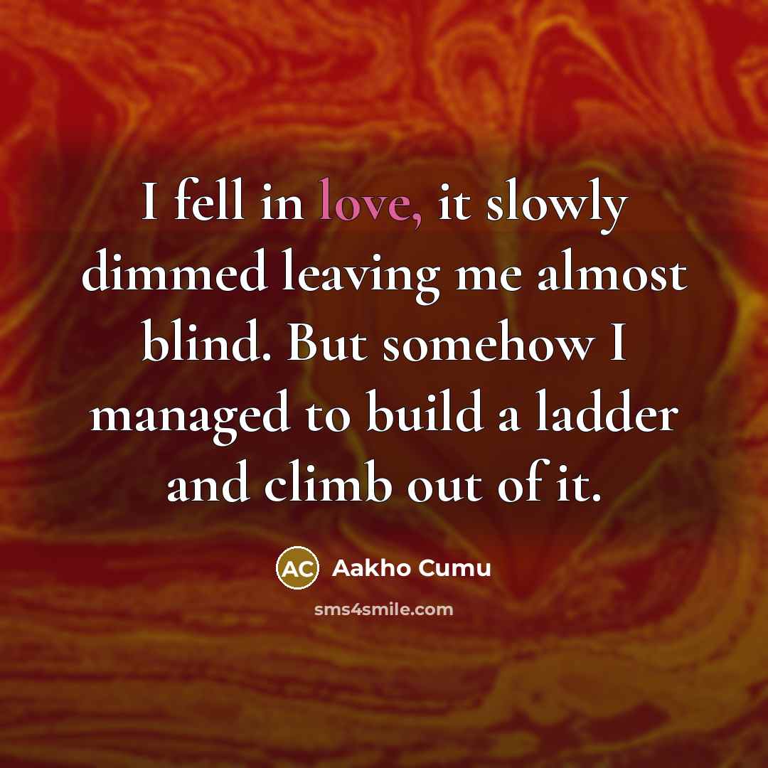 “I fell in love, it slowly dimmed leaving me almost blind. But somehow I managed to build a ladder and climb out of it.” quote by Aakho Cumu