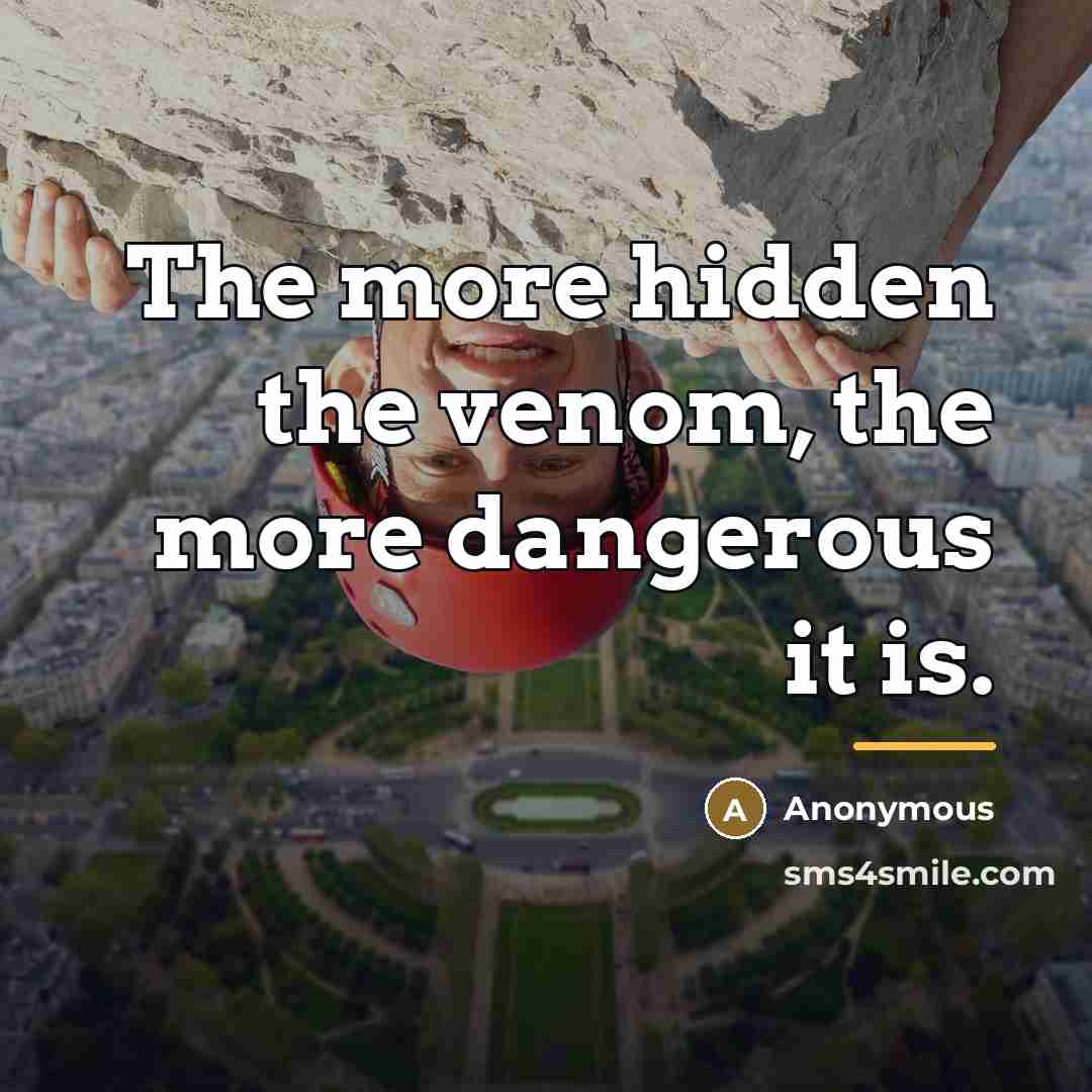 “The more hidden the venom, the more dangerous it is.…” quote by Anonymous