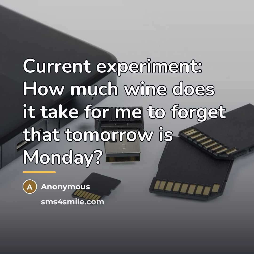 “Current experiment: How much wine does it take for me…” quote by Anonymous