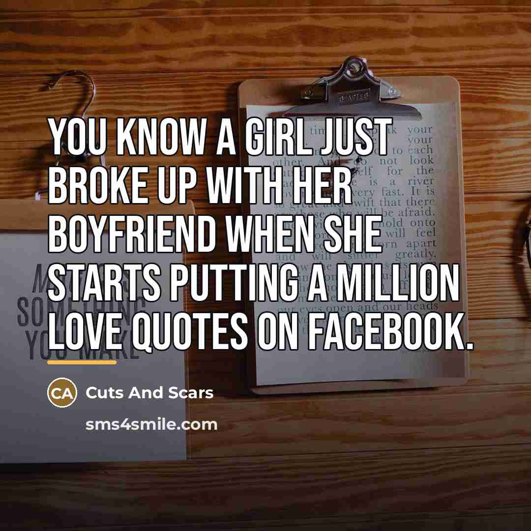 “You know a girl just broke up with her boyfriend…” quote by Cuts And Scars