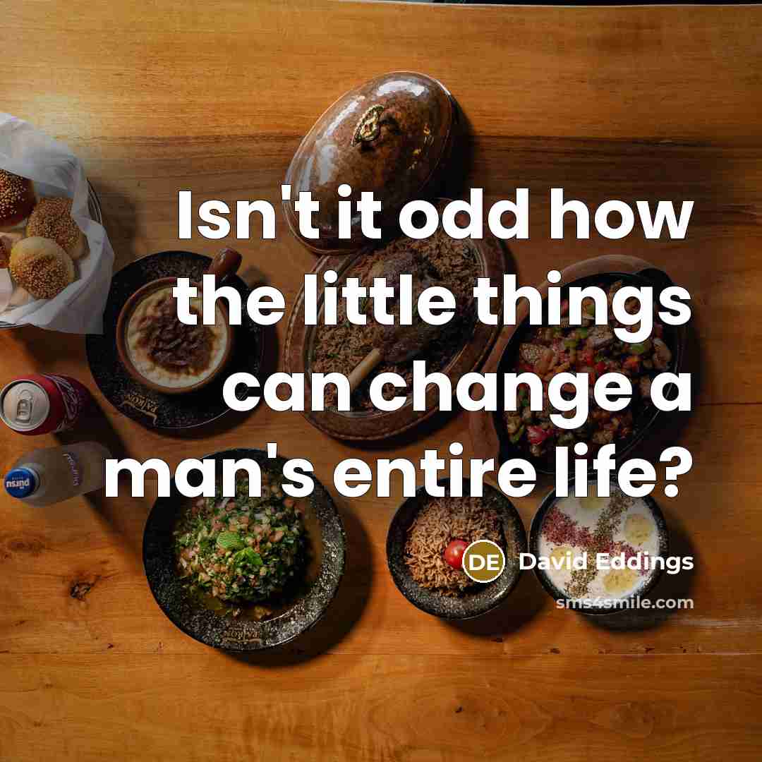 “Isn't it odd how the little things can change a…” quote by David Eddings
