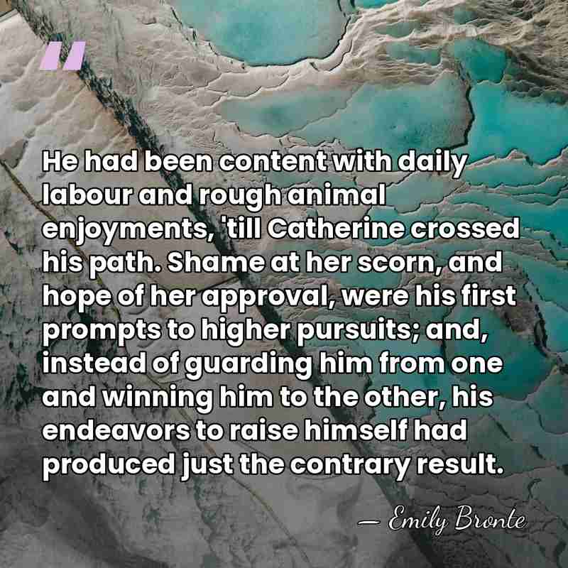 He had been content with daily labour and rough animal enjoyments, 'till&hellip; - Emily Bronte
