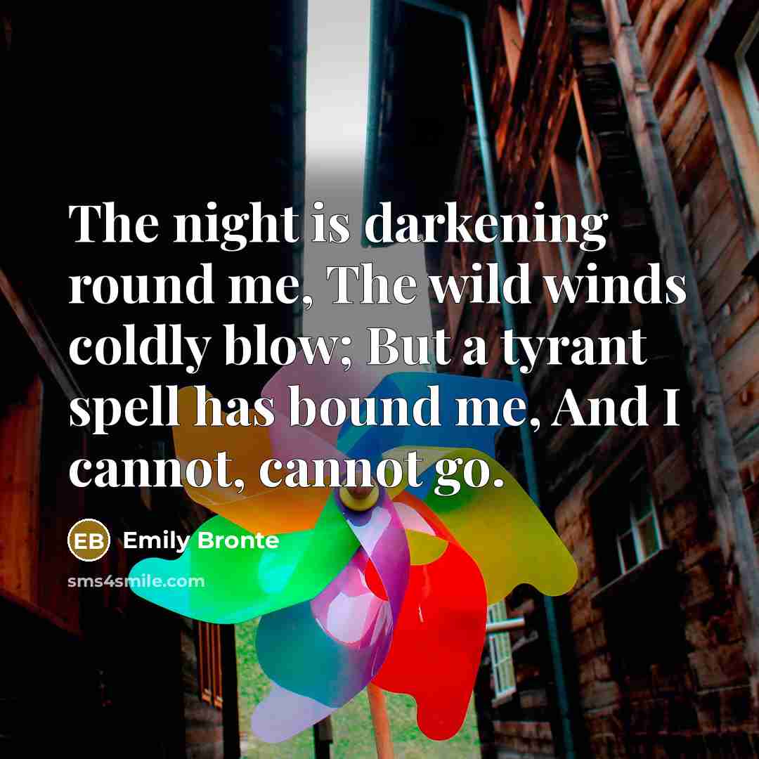 “The night is darkening round me, The wild winds coldly…” quote by Emily Bronte