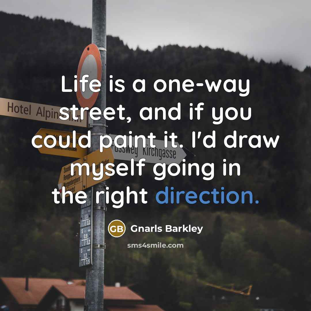 “Life is a one-way street, and if you could paint it. I'd draw myself going in the right direction.” quote by Gnarls Barkley