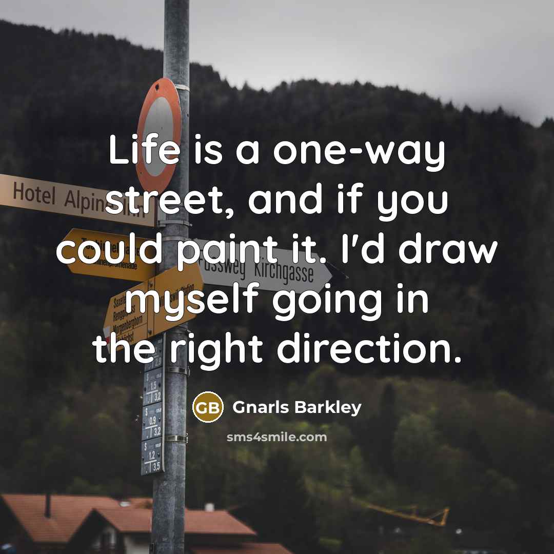 “Life is a one-way street, and if you could paint…” quote by Gnarls Barkley