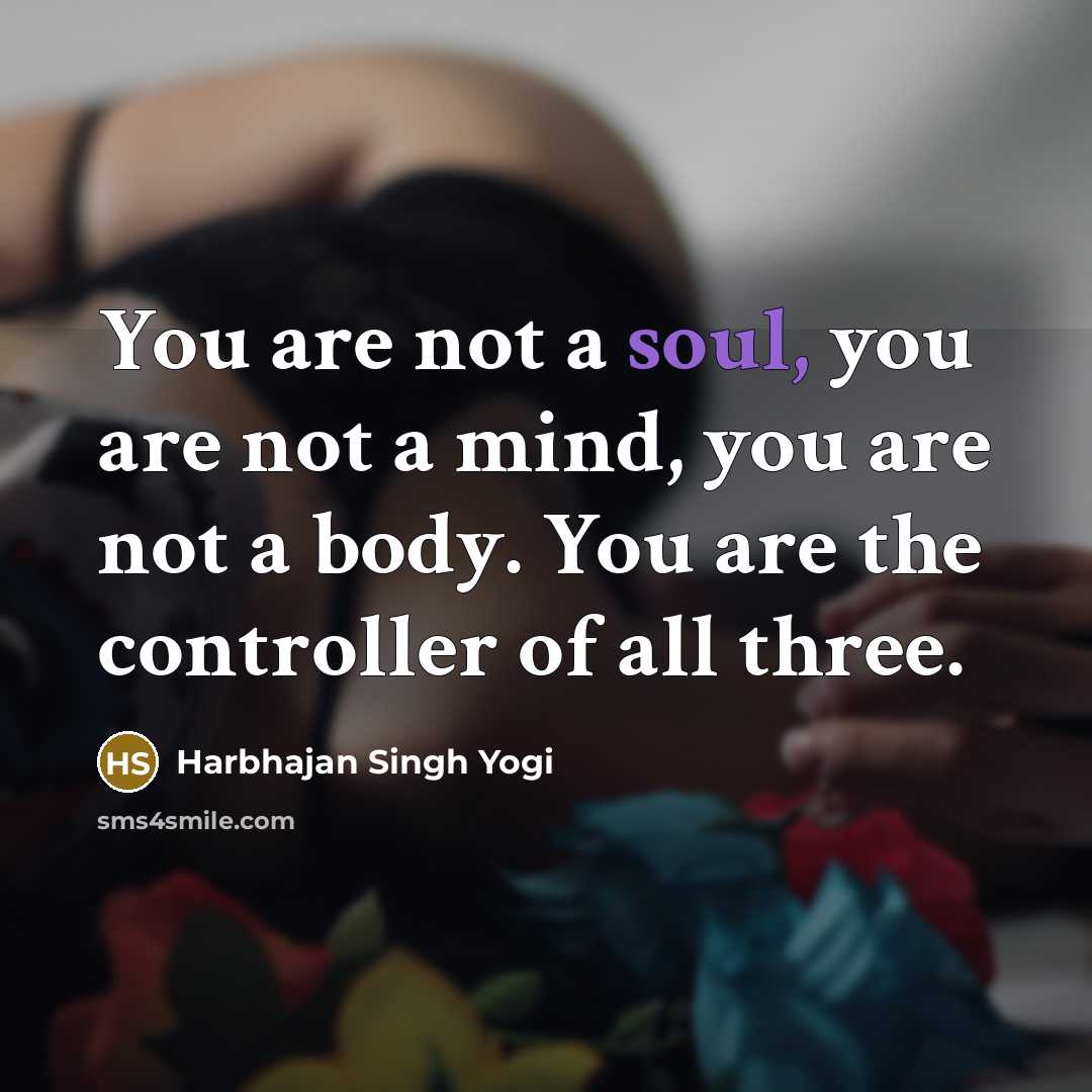“You are not a soul, you are not a mind,…” quote by Harbhajan Singh Yogi