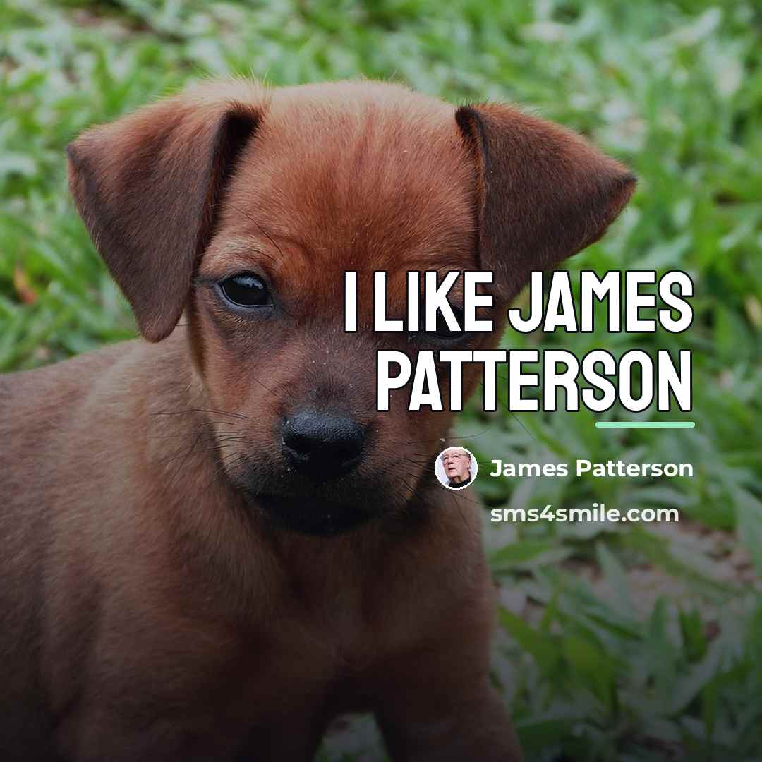 “i like james patterson…” quote by James Patterson