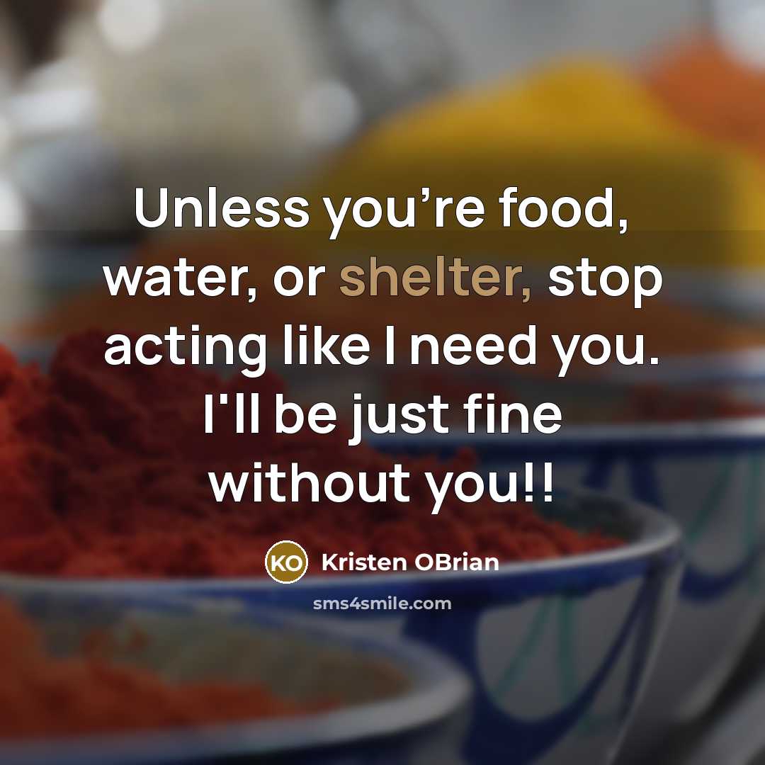 “Unless you're food, water, or shelter, stop acting like I need you. I'll be just fine without you!!” quote by Kristen OBrian