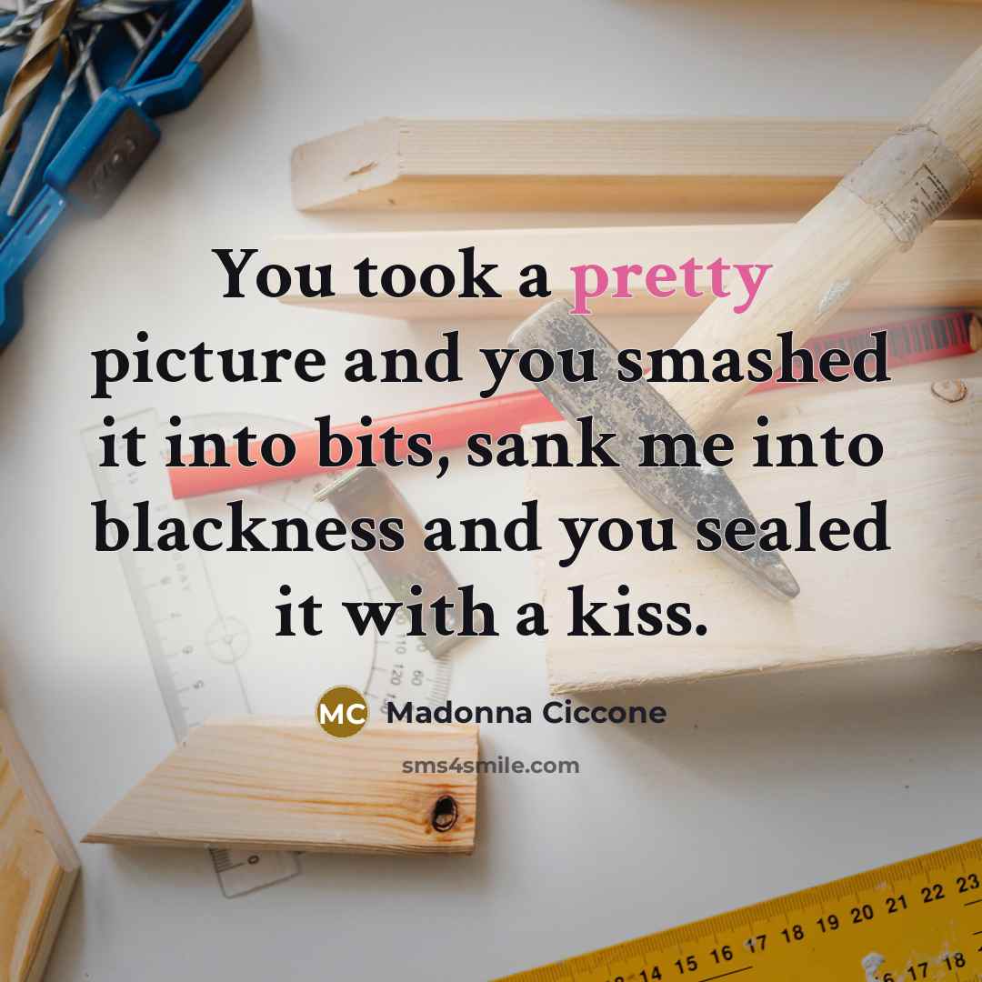 “You took a pretty picture and you smashed it into…” quote by Madonna Ciccone