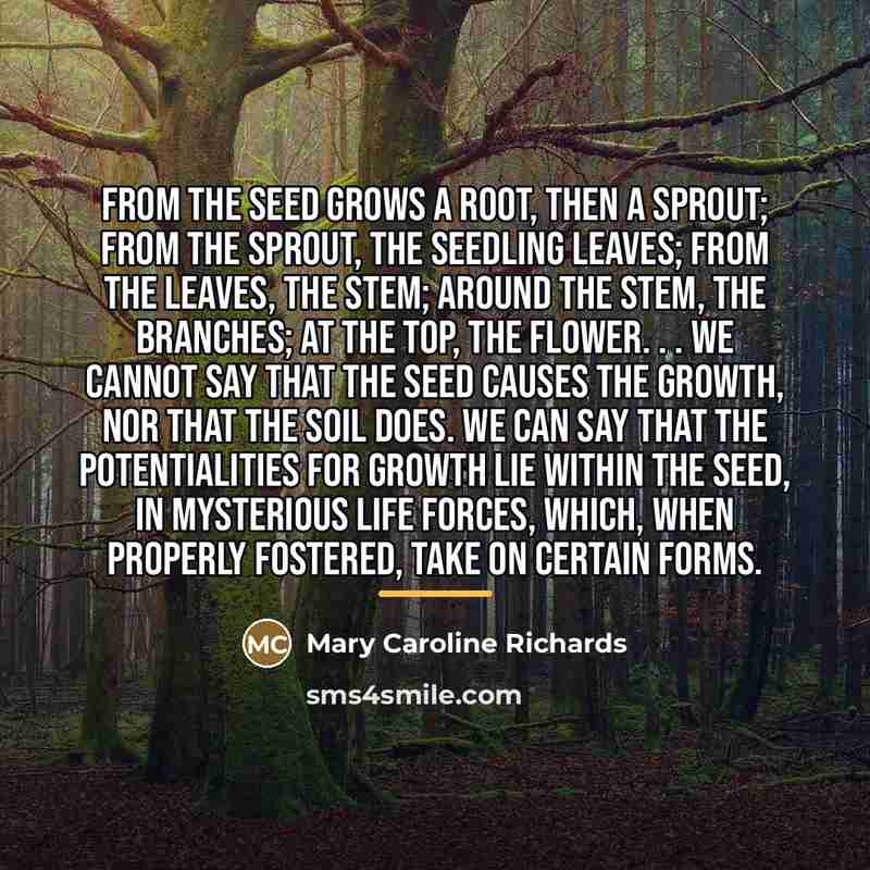 “From the seed grows a root, then a sprout; from…” quote by Mary Caroline Richards