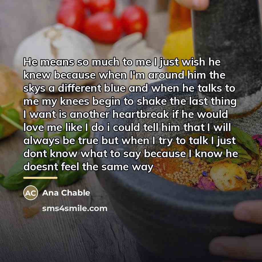 “He means so much to me I just wish he…” quote by Ana Chable